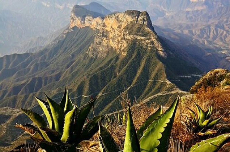 sierra gorda Magico - LA-CABANA -05 Incredible journey - https://habibi-world-travel-agency.com/